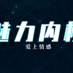 爱上情感：魅力内核（你的强力状态引擎）