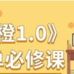 大橙1.0《脱单必修》