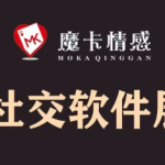 魔卡《2022社交软件展示面》