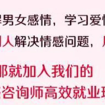 情感咨询师高效就业班18节【完结】