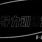 昊哥《主导力训练营》