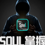 社交光谱社长《SOUL掌握》