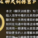 野哥《聊天特训营》