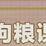 社嘟嘟《相亲2：进阶篇》女生必看